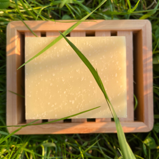 Doccia Shampoo Solido Concentrato Delicato - Semi di Lino