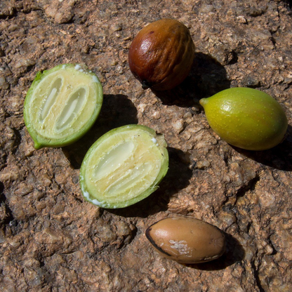 Olio puro di Argan Biologico - Illuminante, Disciplinante e Anti-Crespo per Capelli e ottimo per viso e corpo